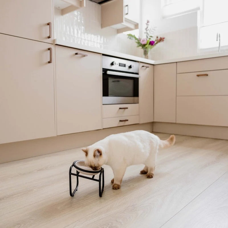 District 70 BUTLER SINGLE Voerbakstandaard | Verhoogde Keramische Voerbak voor Katten