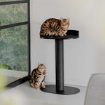 District 70 OASIS 80 Design Krabpaal | Stalen Krabpaal voor Katten