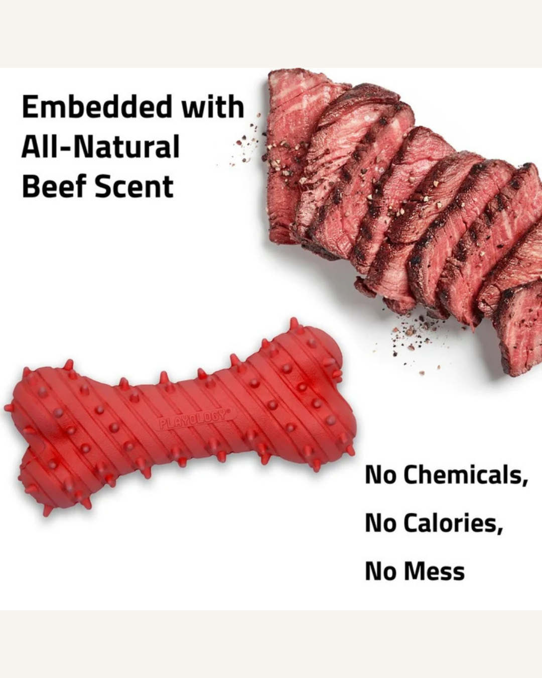 Playology Teething Bone Large | Beef