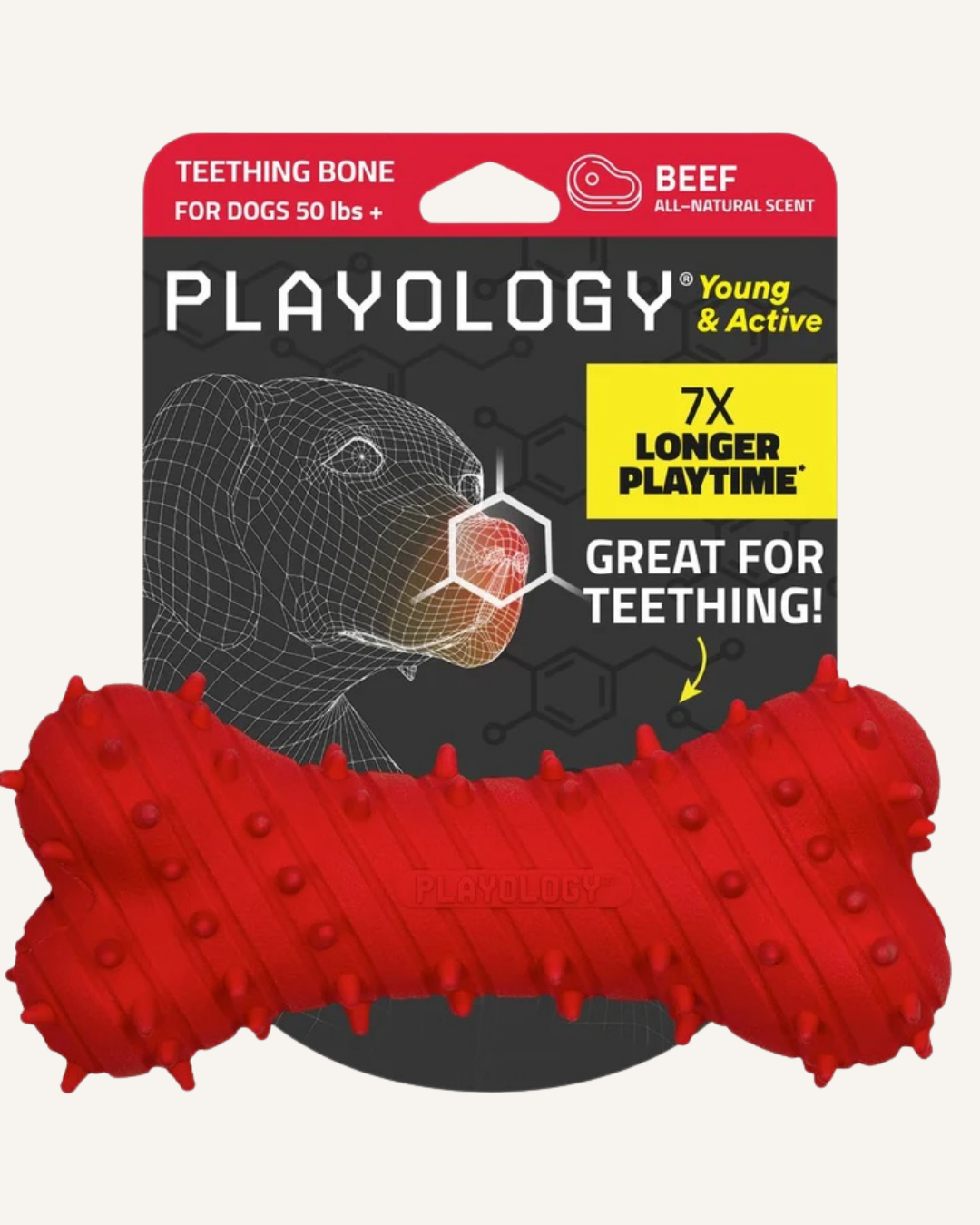Playology Teething Bone Large | Beef