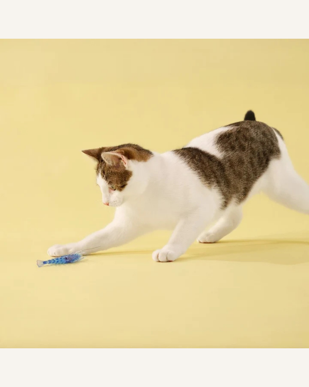 Playology Pouncing Crawfish 2-pack | Kattenspeelgoed