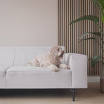 District 70 NUZZLE Bankmand voor Honden | Comfortabele Hondenmand voor op de Bank