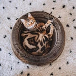 District 70 MAZE 3-in-1 Opvouwbare Kattenmand | Kattenhuis & Speeltunnel