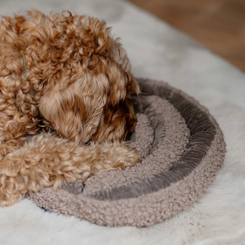 District 70 SWIRL Snuffelspeelgoed | Hersenwerk voor Honden