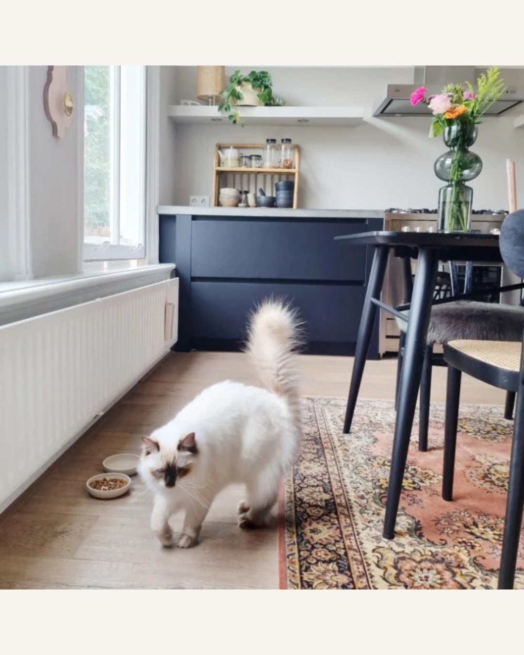 District 70 BAMBOO Voerbak | Bamboe Voer- en Drinkbak voor Katten