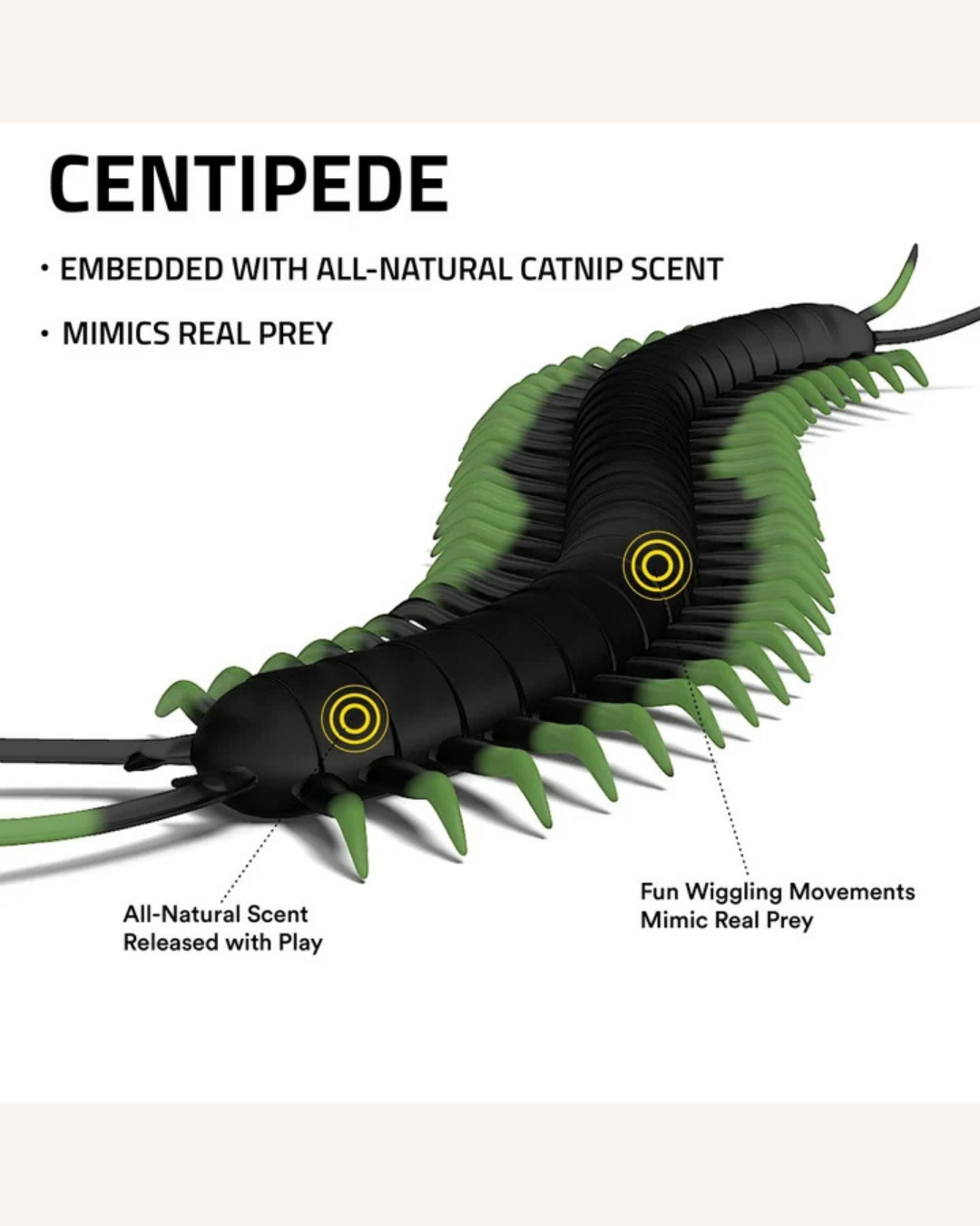 Black ribbed centipede cat toy with green legs, yellow eyes, and a long tail.