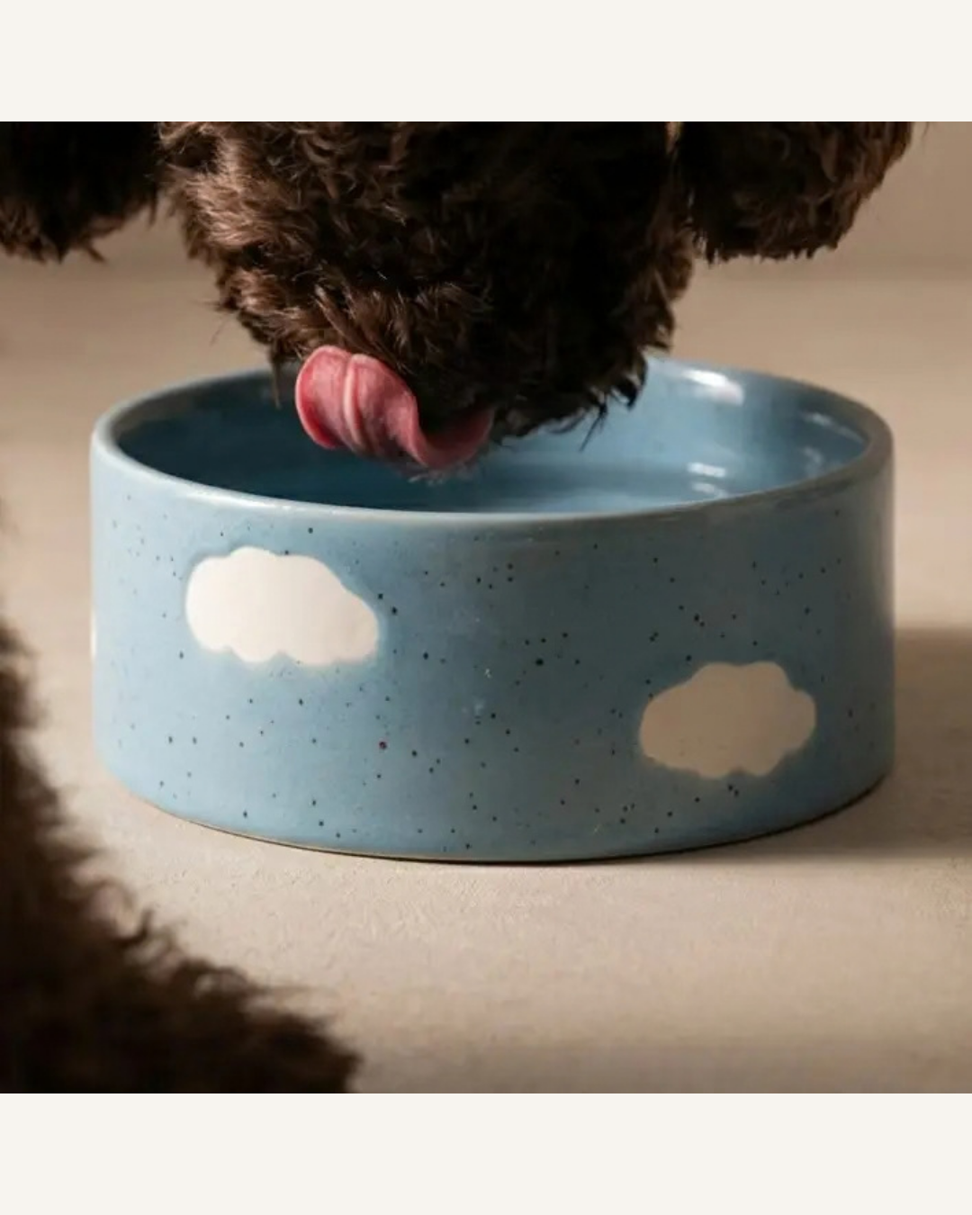 Speckled blue ceramic pet bowl with white cloud accents, holding water as a dog drinks.