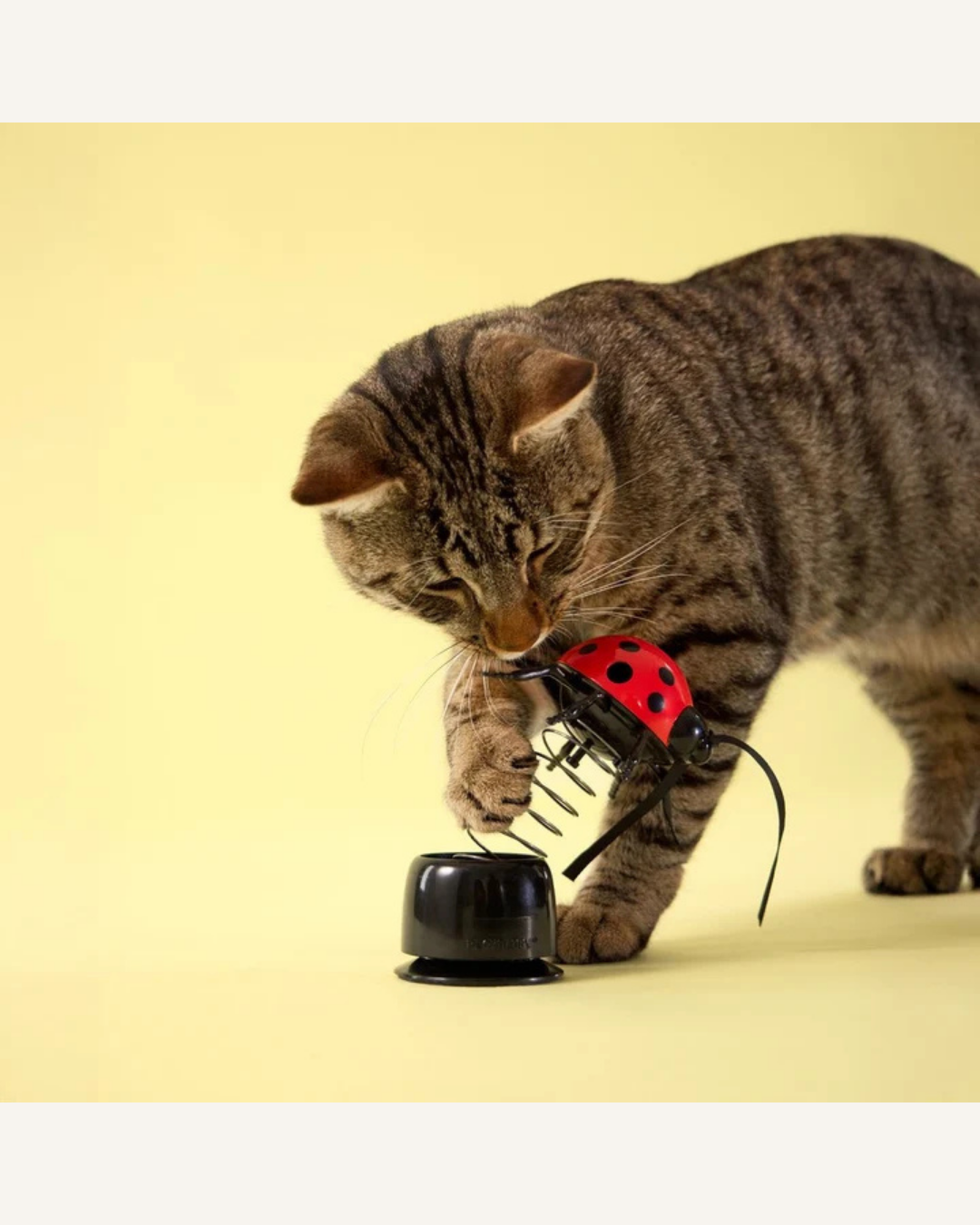 Playology Ladybug Treater | Interactief Kattenspeelgoed