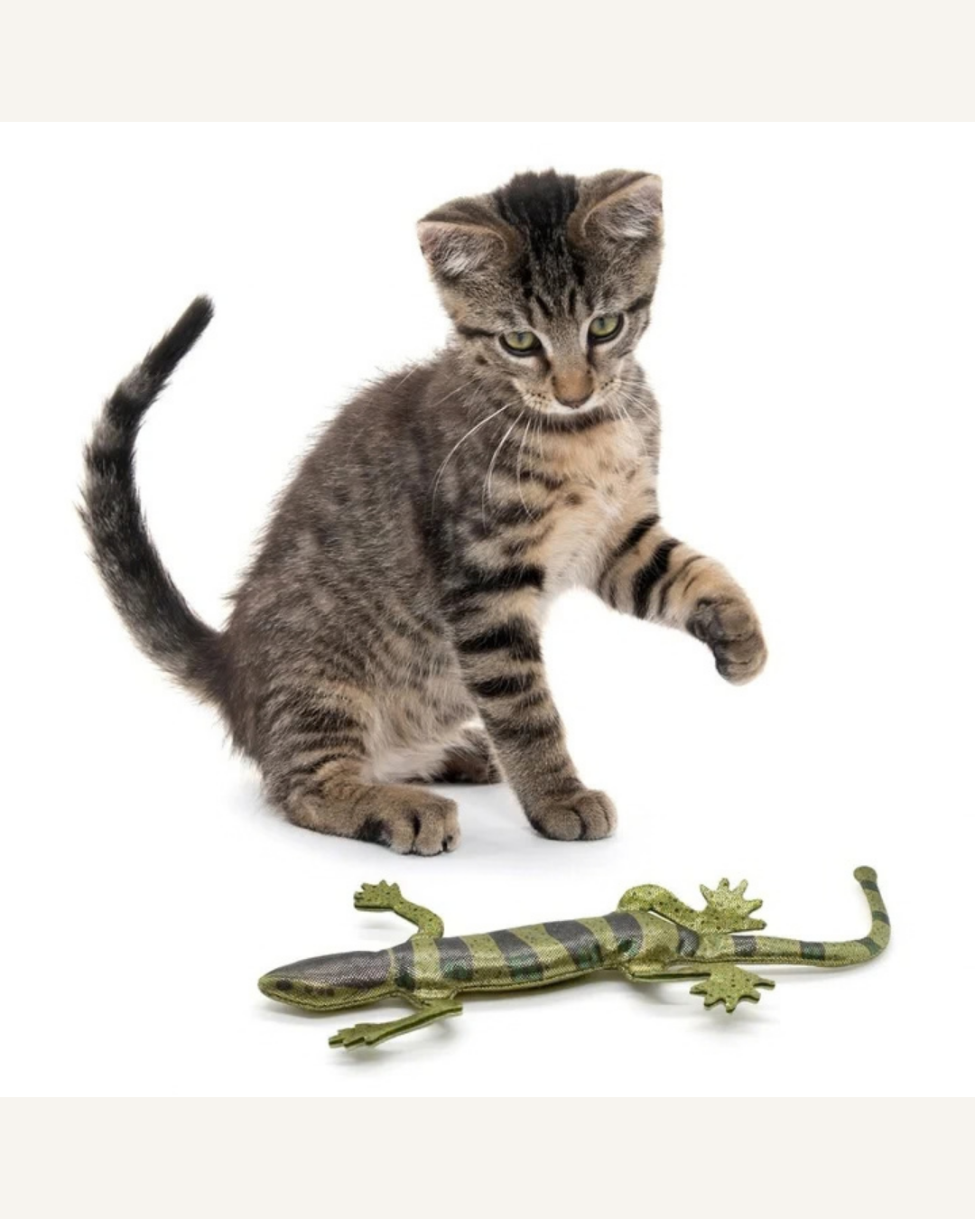Playology Sparkly Lizard | Kattenspeelgoed