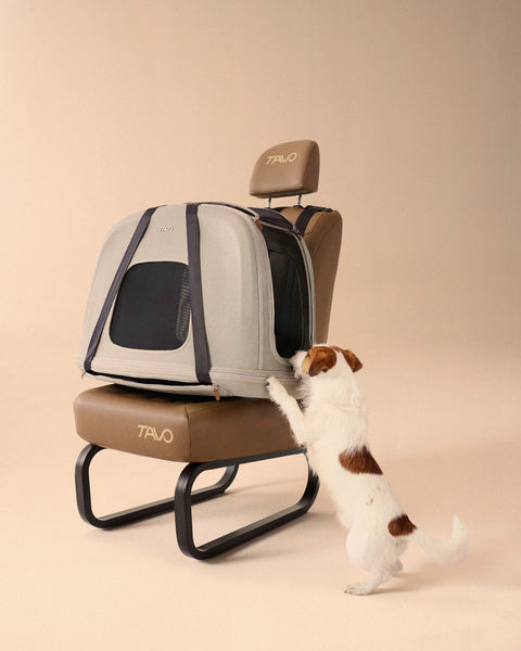 TAVO CRISPIN CRASH-GETESTE REISBENCH met ISOFIX