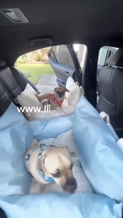 Light blue pet car seat with raised sides inside a car backseat holding two dogs, one wearing a collar.